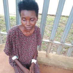 WhatsApp Image 2026-04-03 at 1.00.57 PM (1)